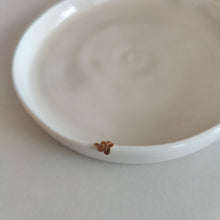 Afbeelding in Gallery-weergave laden, Piercing/oorknopjes (per stuk)
