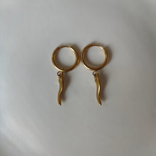 Afbeelding in Gallery-weergave laden, Oorbellen pepper
